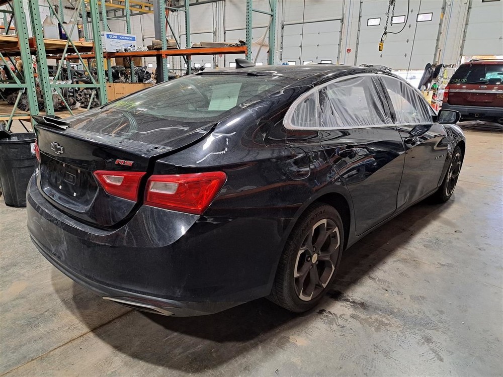 2019 Malibu Jack Sku#4275468