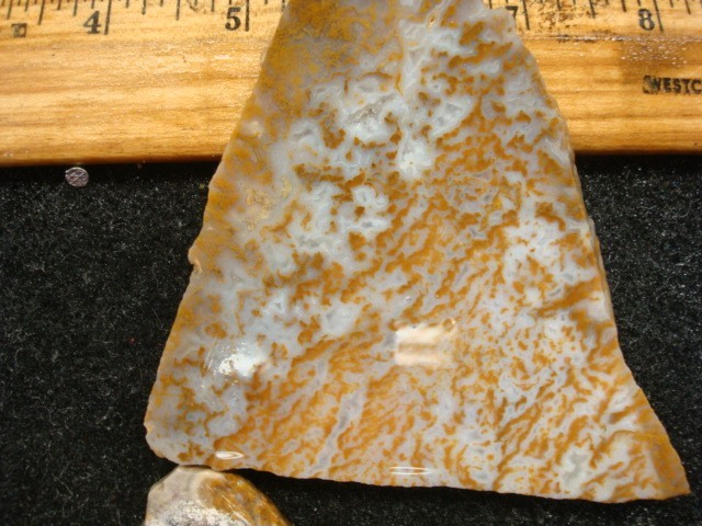 riveria plume slabs