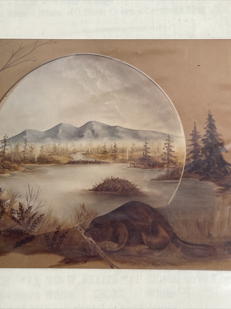 Creative Dreams By Sherry Beaver Pond Decorative Painting Pattern