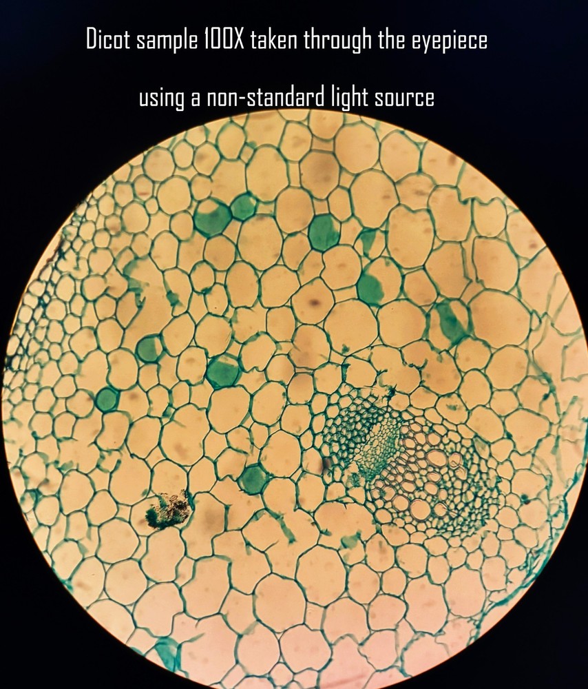 Leitz Wetzlar Compound Microscope Phase Contrast Disc Tested Optics