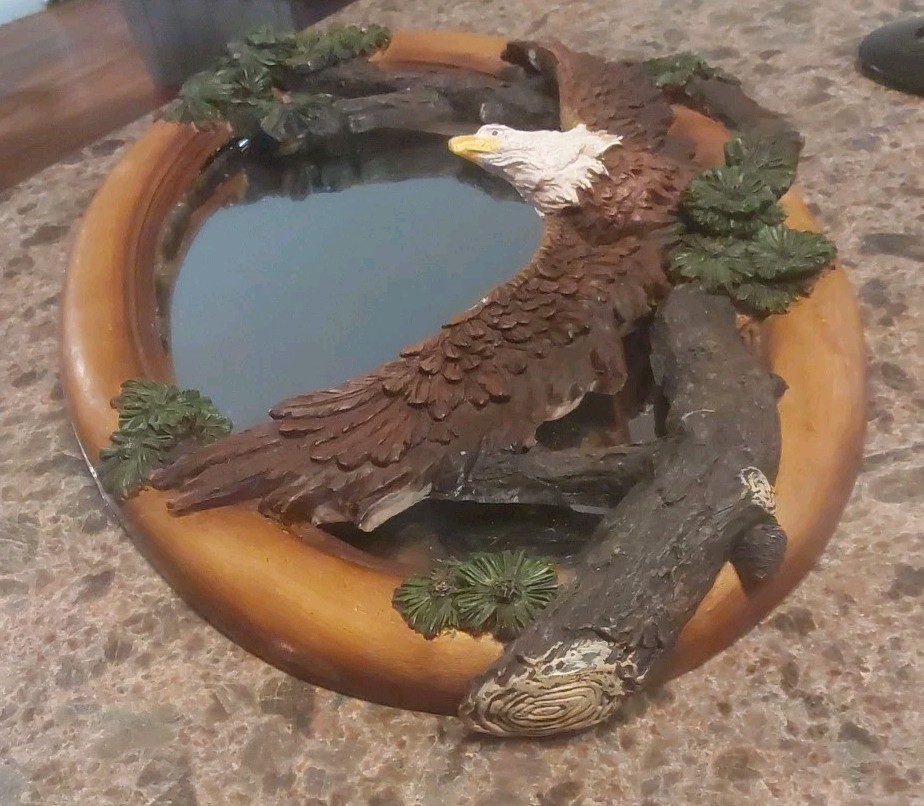 Soaring Bald Eagle Mirror