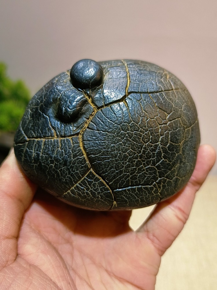 China Natural stone "tortoise back pattern" stone Moire stone 856547