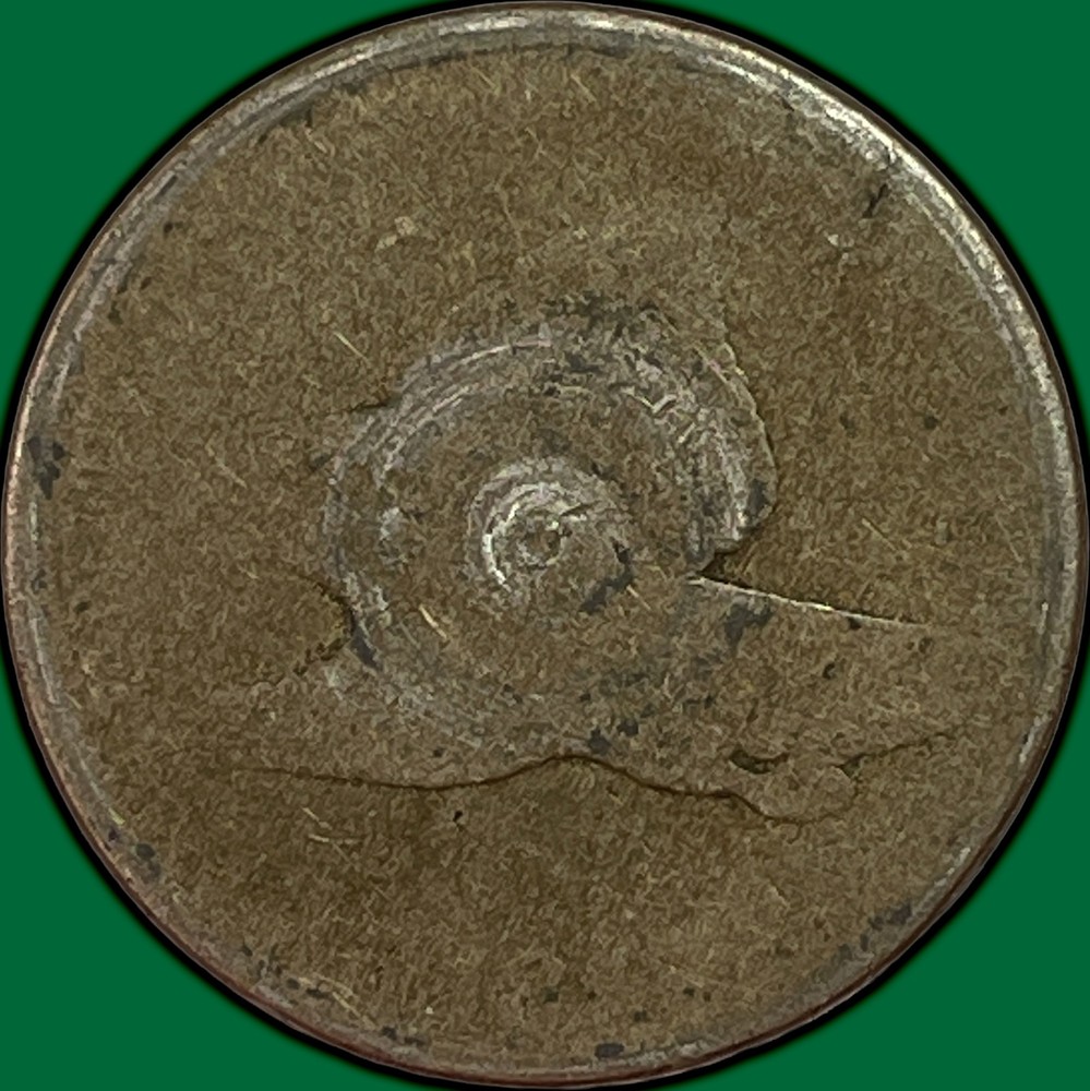 1857/1858 Flying Eagle Cent Cull Coin #38396