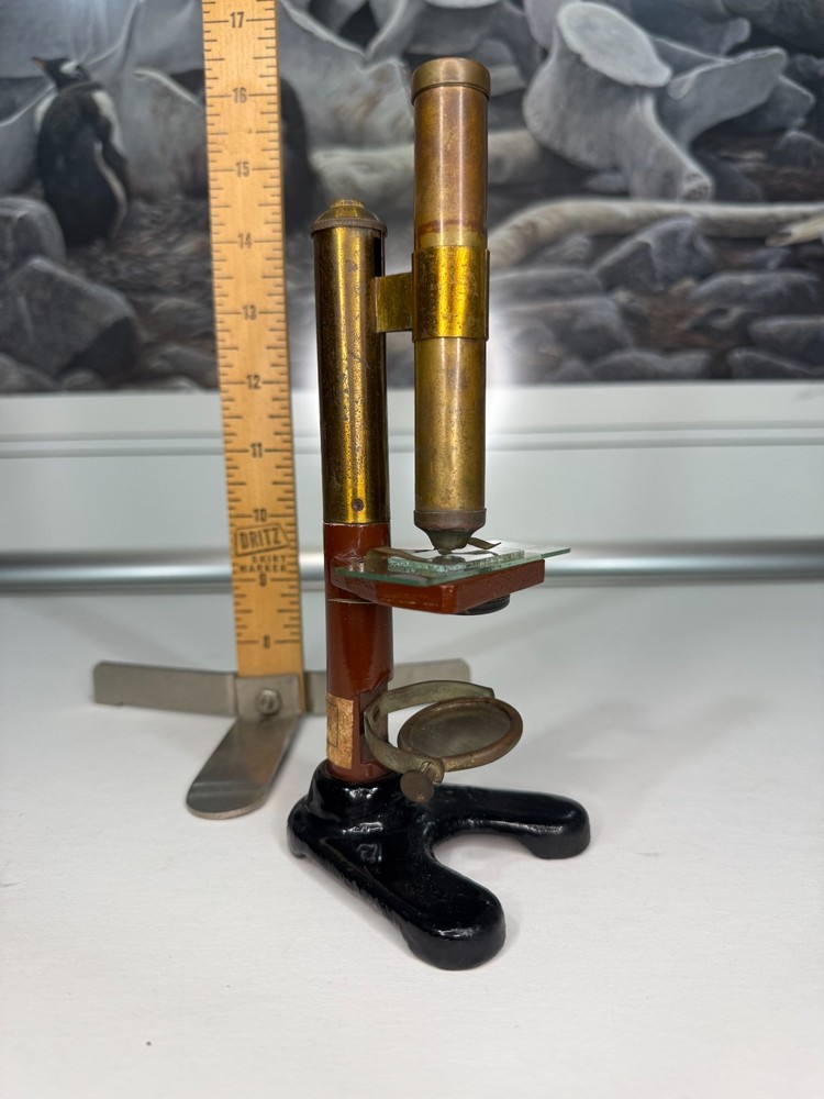 Pre 1900 Japanese 亚洲 Rare Microscope 显微镜 古董