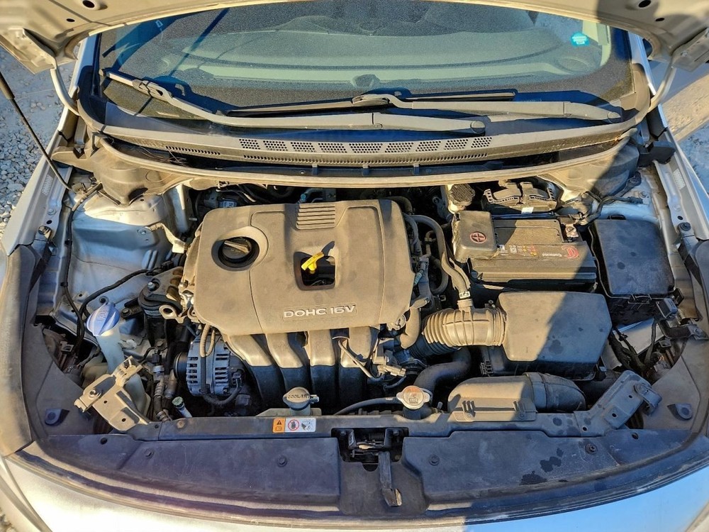 FORTE 2017 Glove Box 4928474