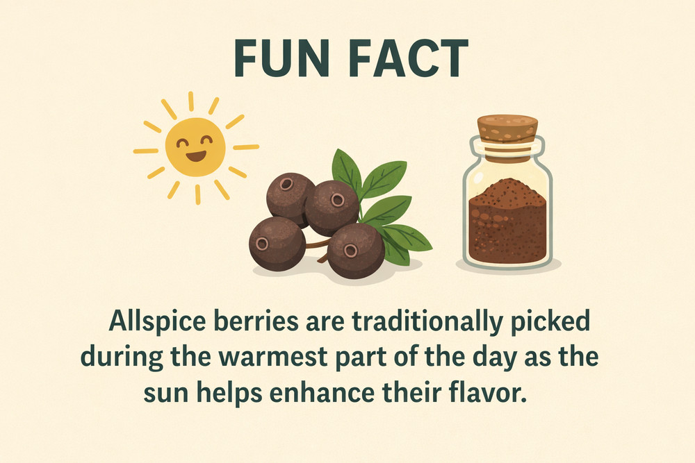 Allspice Berries