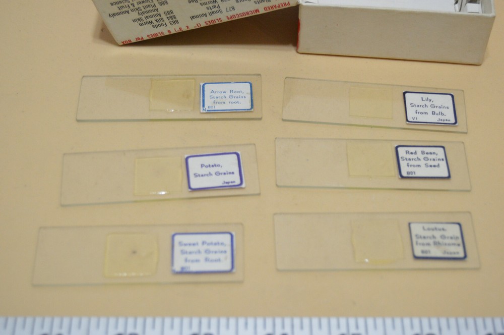 Vintage Crest Prepared Microscope Slides