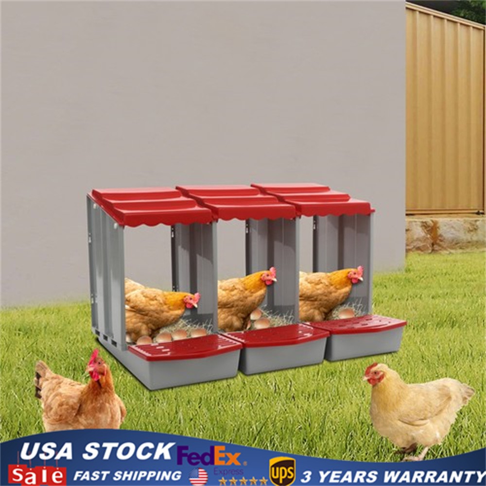 3-Compartment Chicken Nesting Box for Efficient Egg Laying and Easy Collection