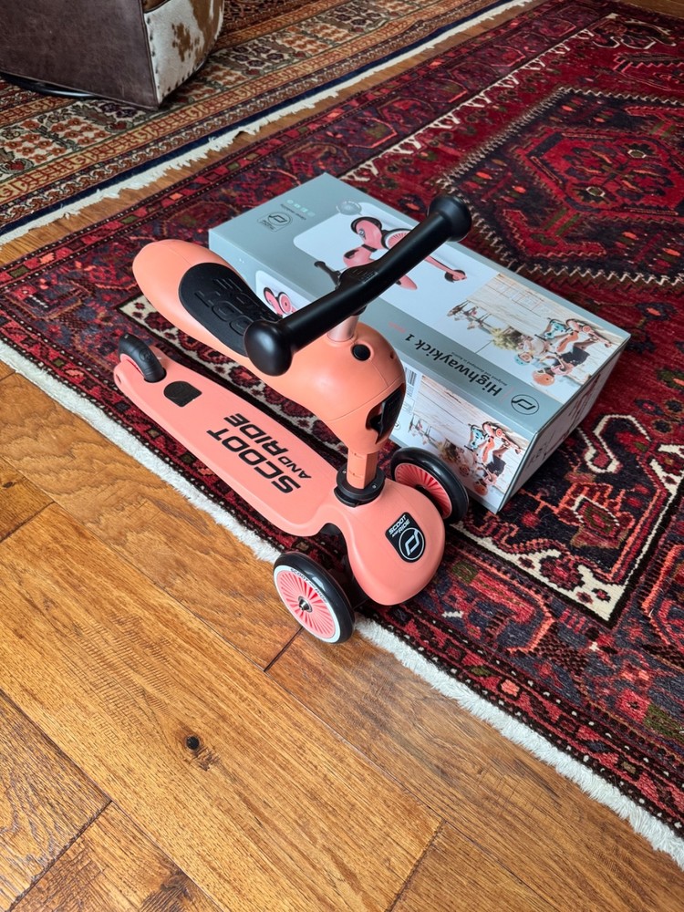 Highway kick 1 Scoot & Ride