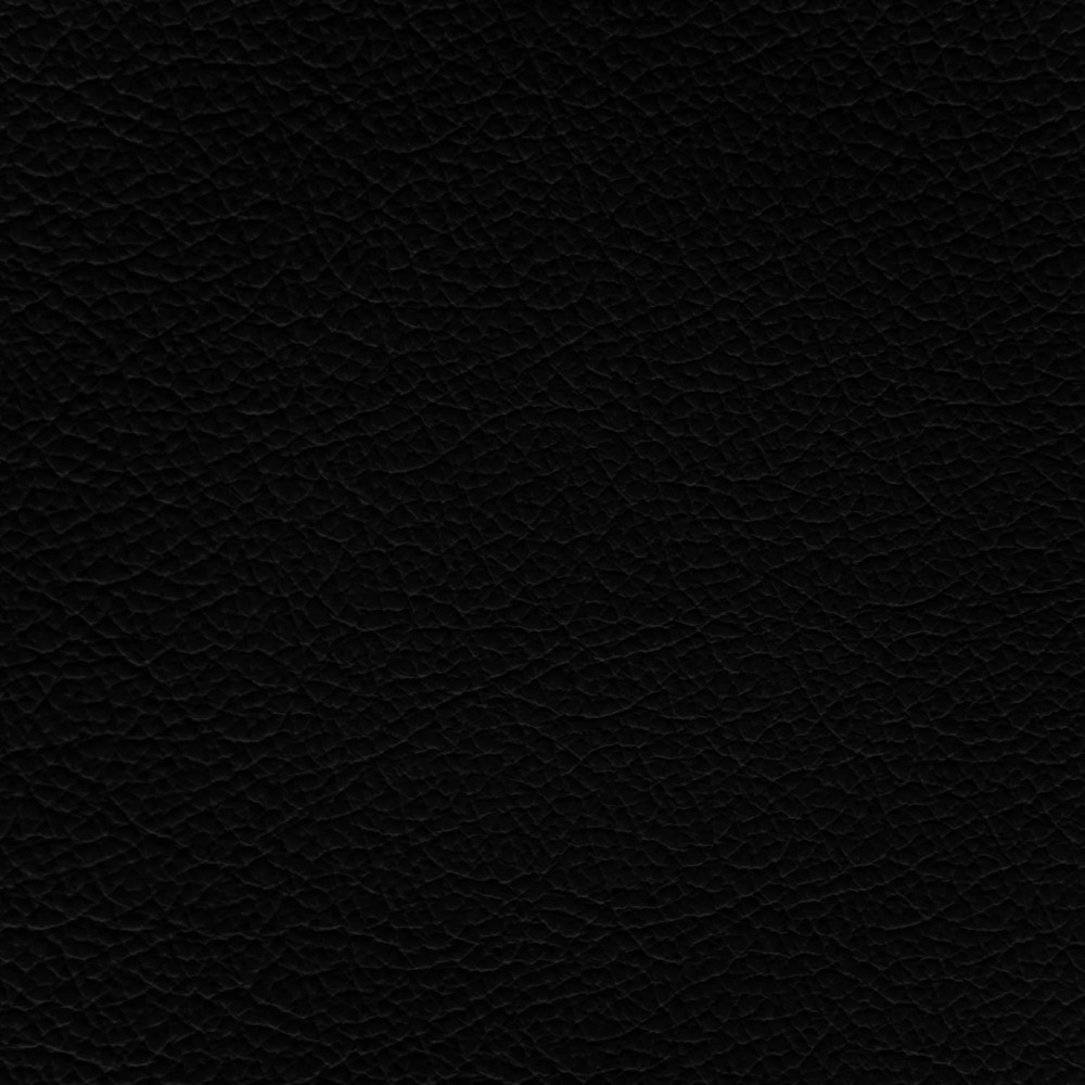 GM Jet Black Leather Dye