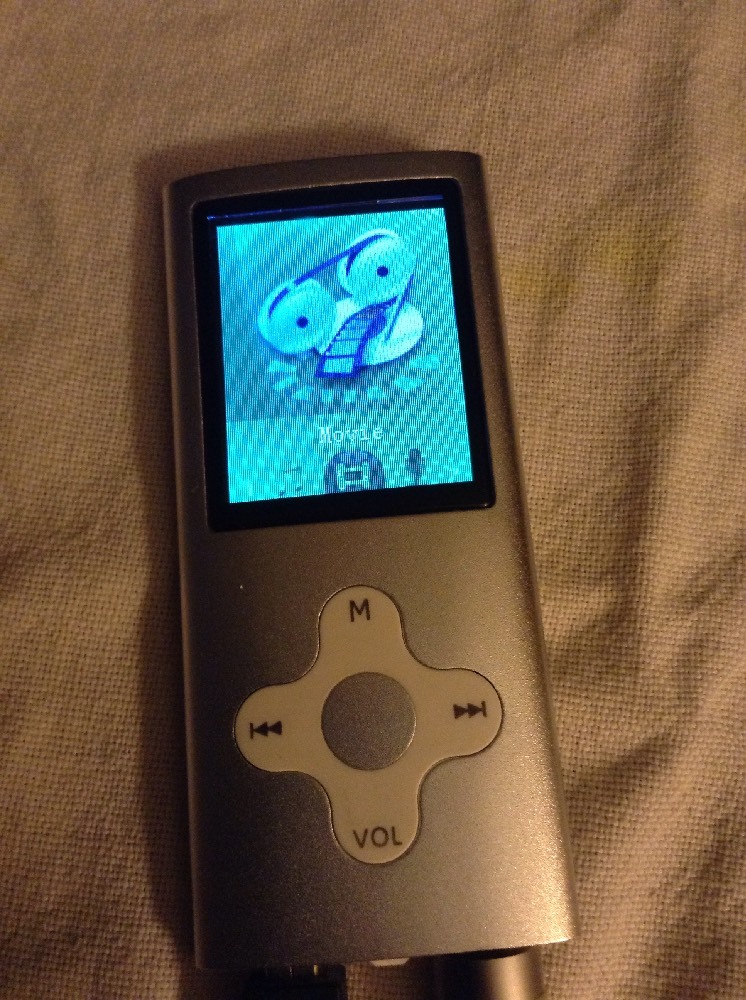 Eclipse Portable Media Player w/cables For Avaya Phone System