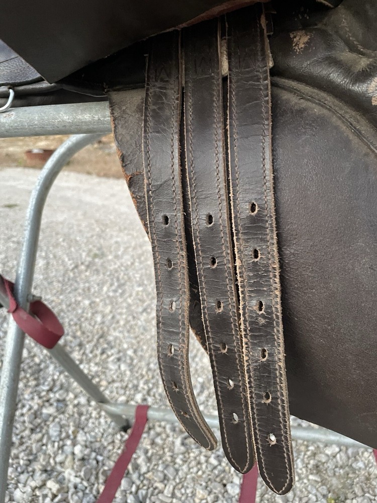 17” English Saddle- all Purpose