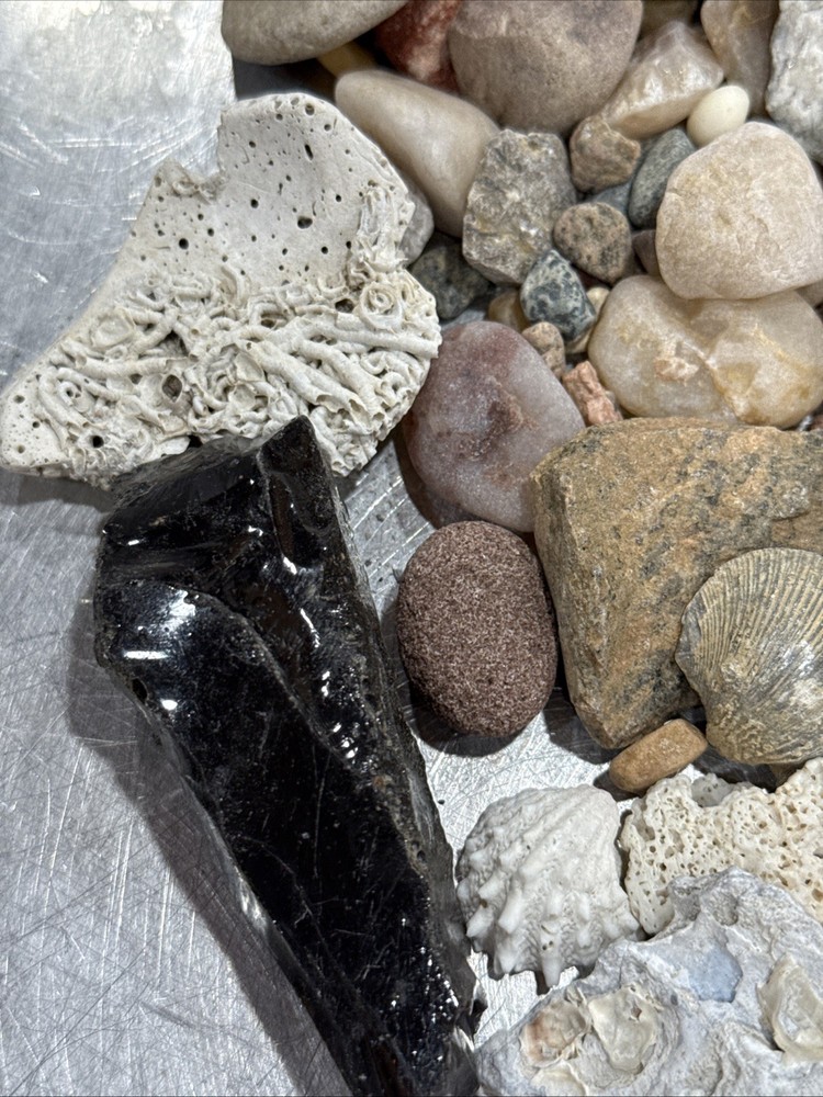 Collectable Rocks & Corral