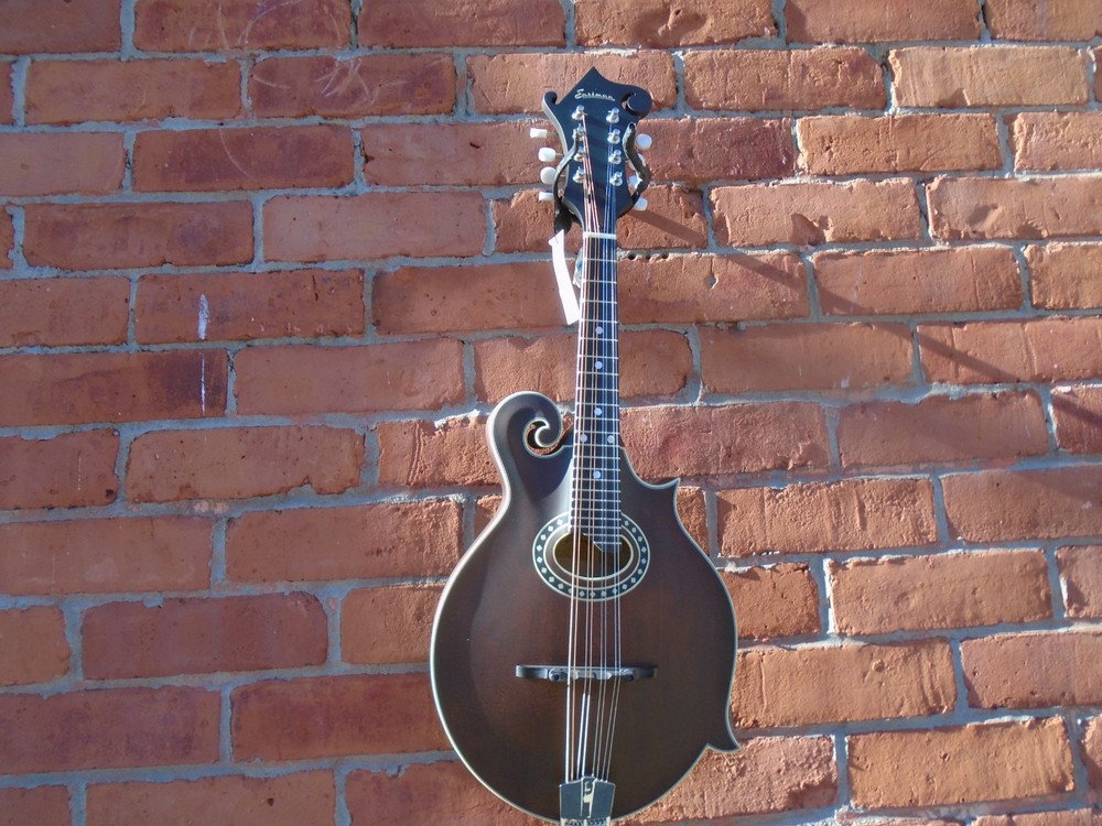 Esatman MD314 mandolin w/bag