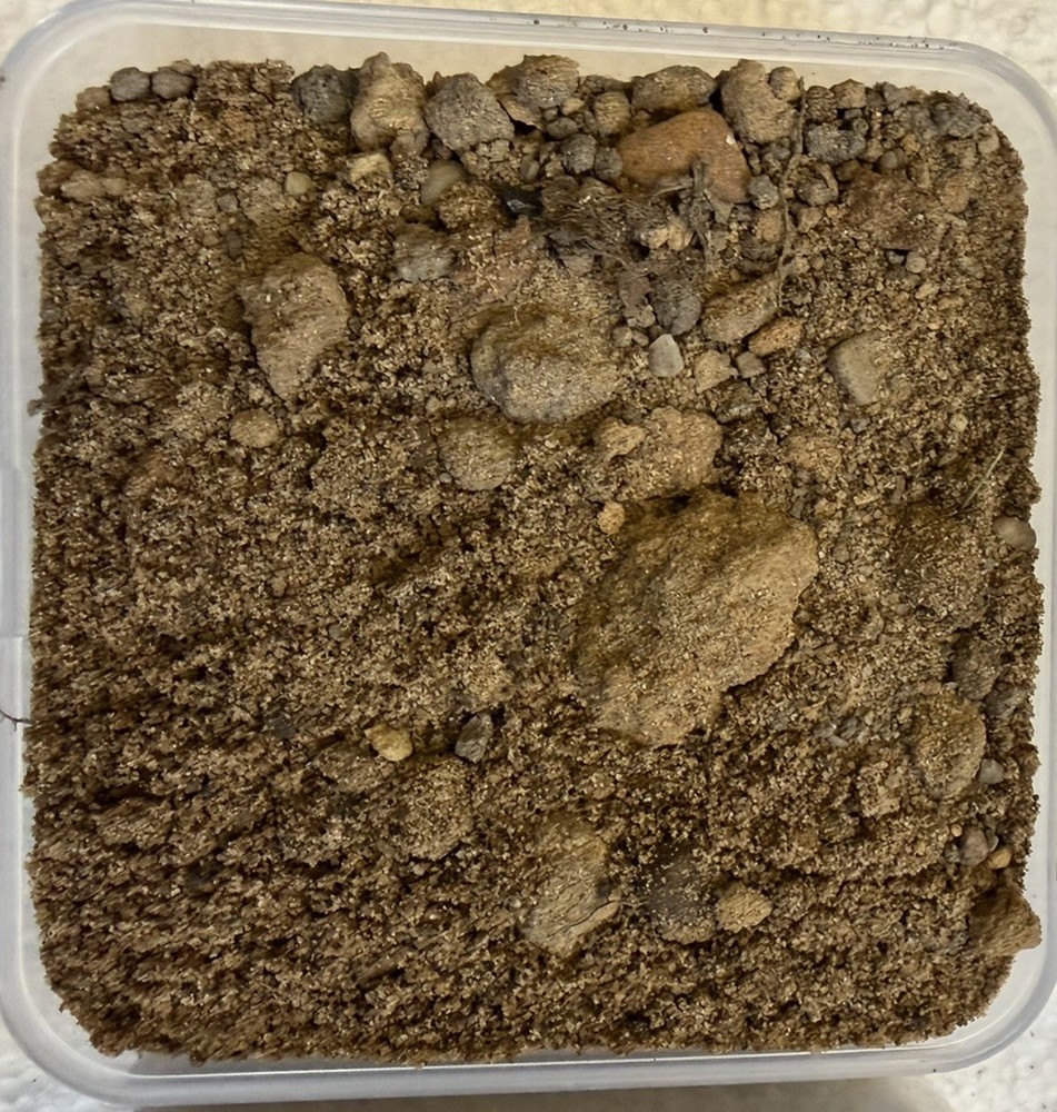 FRESH Authentic Old Cemetary Graveyard Dirt Witchcraft Voodoo, Casting 3oz