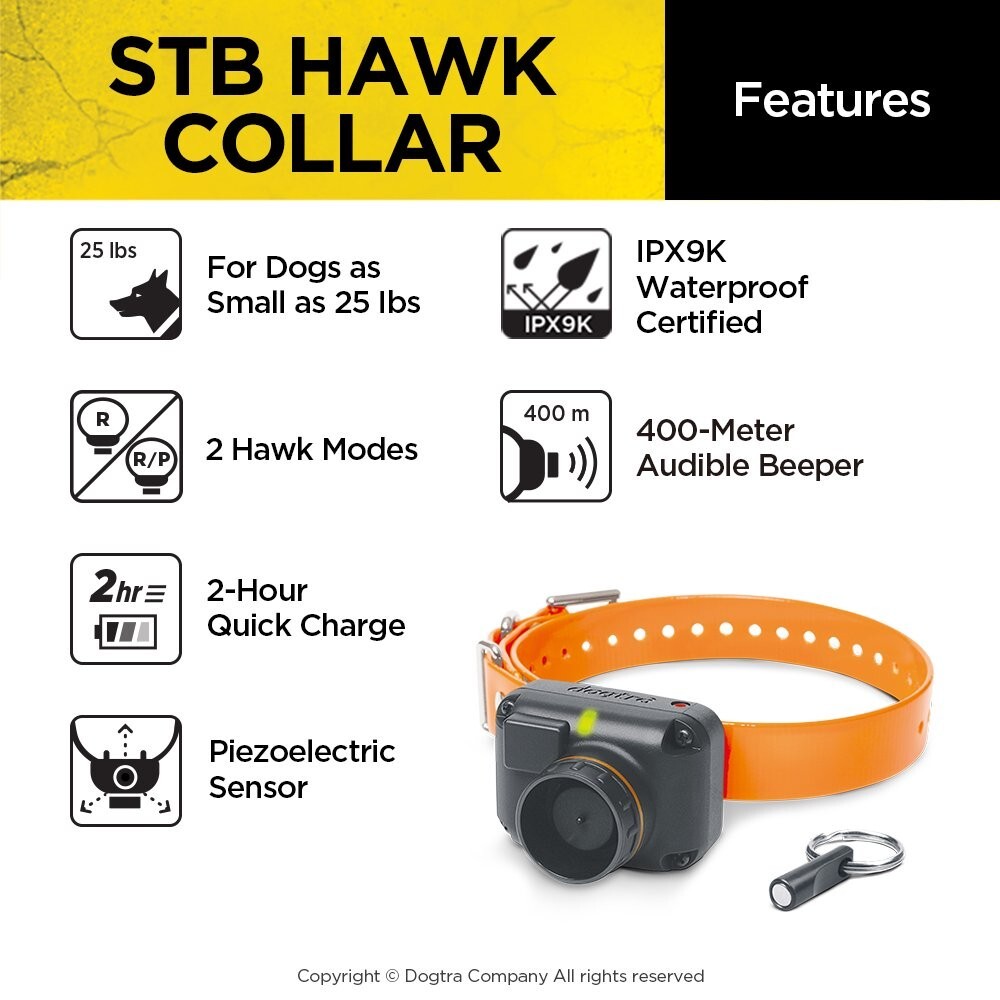 Dogtra STB Beeper Collar – Hawk Version Dog Training Collar