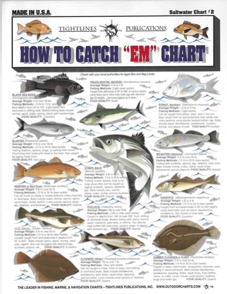 Saltwater Fish Identification #2 -- Waterproof Quick Reference Guide