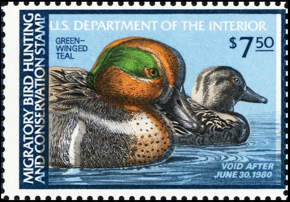 RW46, Mint NH - Dramatic RARE Color Shift Error On Duck Stamp - Stuart Katz