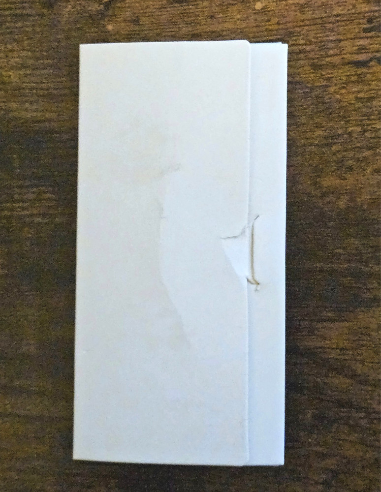 Poliglu Real Time Language Translator - Over 40 Languages Multilingual