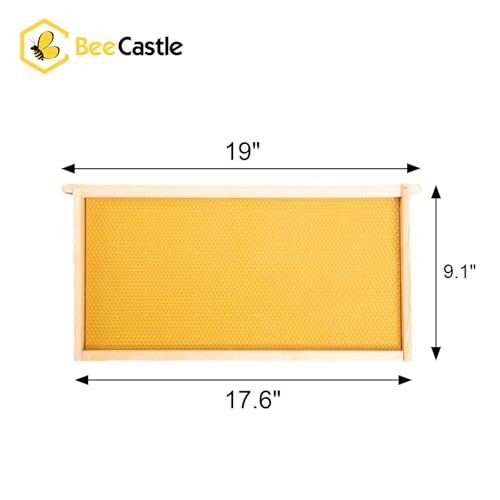 10 Pack Beehive Frames and Wax Foundations for Deep Brood Bee Hives with