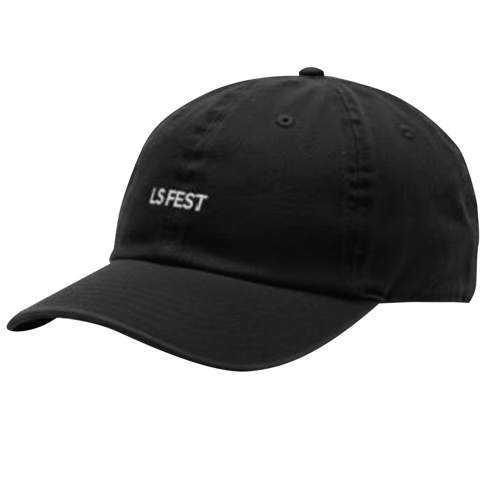 10480HOL LS Fest Dad Hat