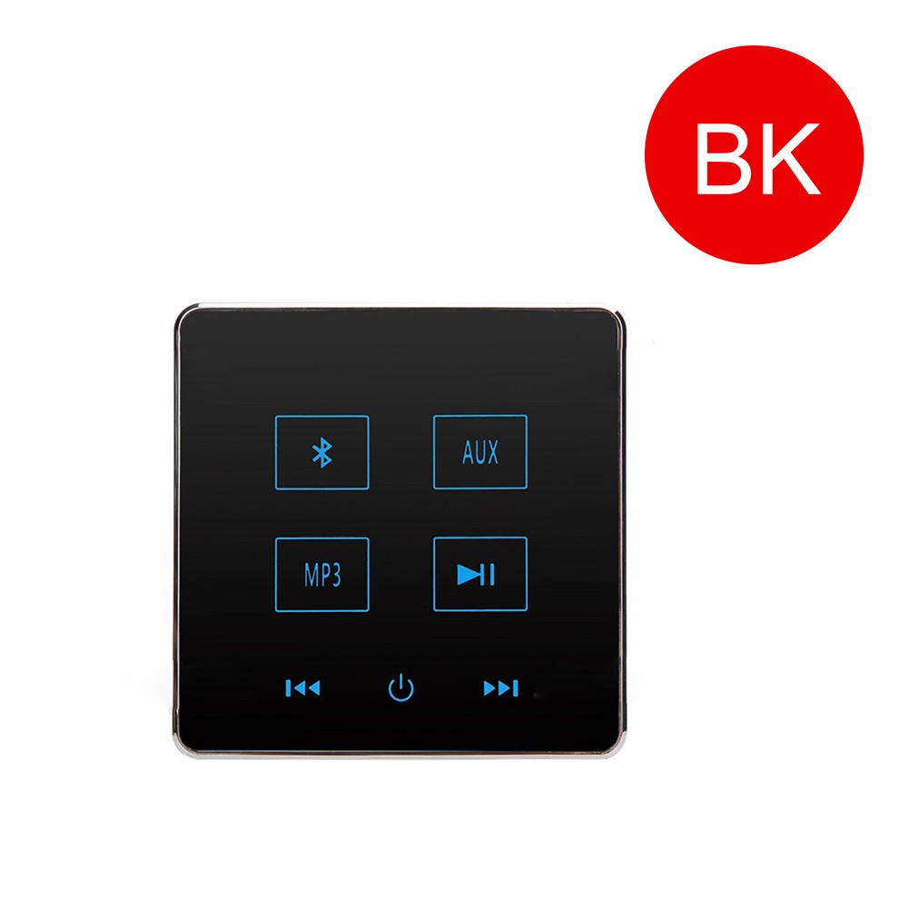 Mini Wall Amplifier Bluetooth Smart Sound System Theater Stereo Ceiling Speaker