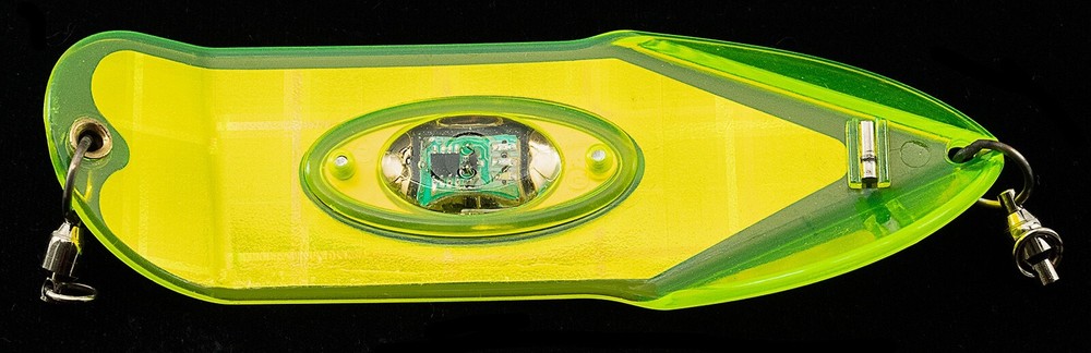 PRO-TROLL PFP 6" Lighted 101 Chart Plaid Flasher - New