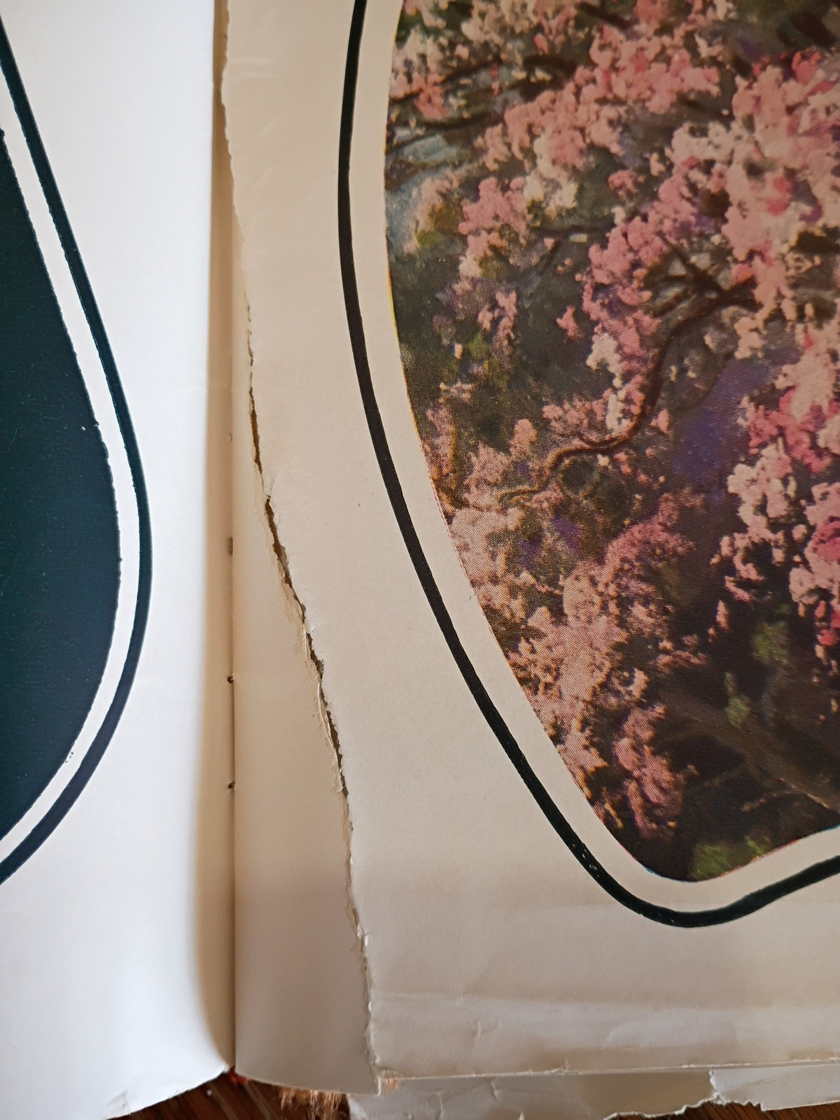 Vintage 1942 Paper Advertising Fans Catalog