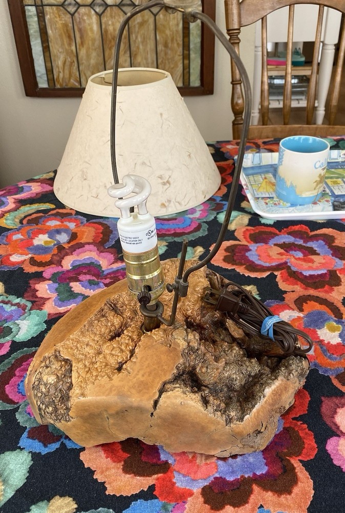 Burl Wood Lamp