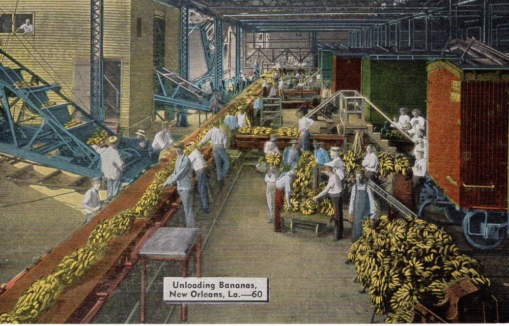 UNLOADING BANANAS, NEW ORLEANS, LA - PC1168