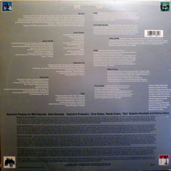 Immature - We Got It (LP, Album) (Mint (M)) - 4047703147