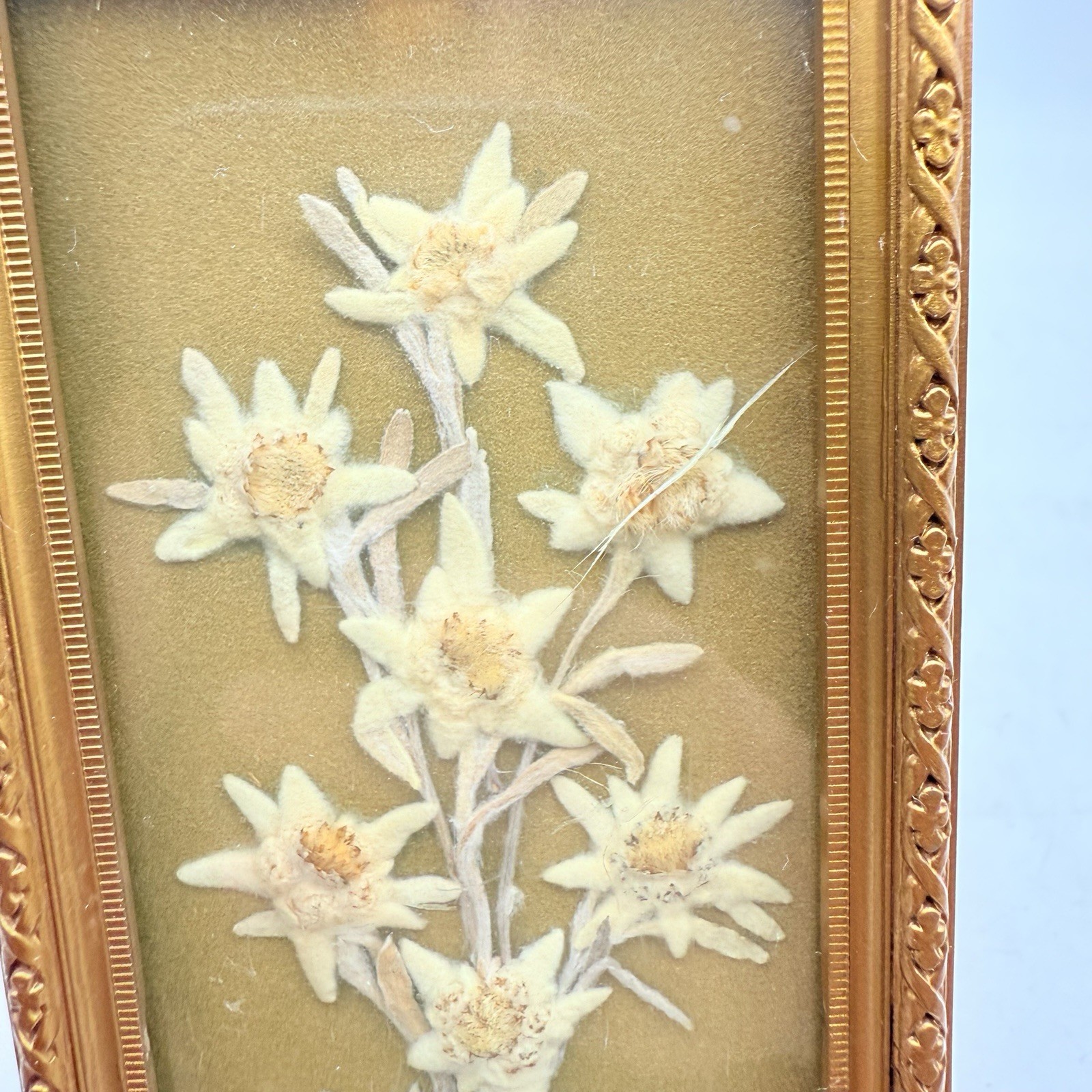 Vintage Pressed Flowers Framed