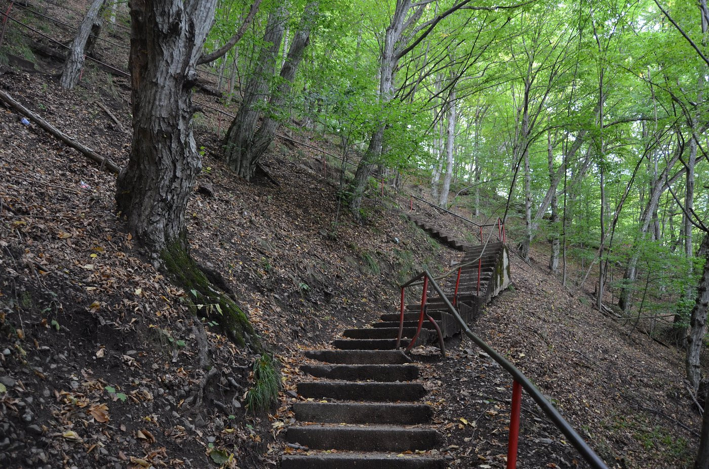Draculas POENARI CASTLE Relic Brick Fragments Item Vlad The Impaler Transylvania