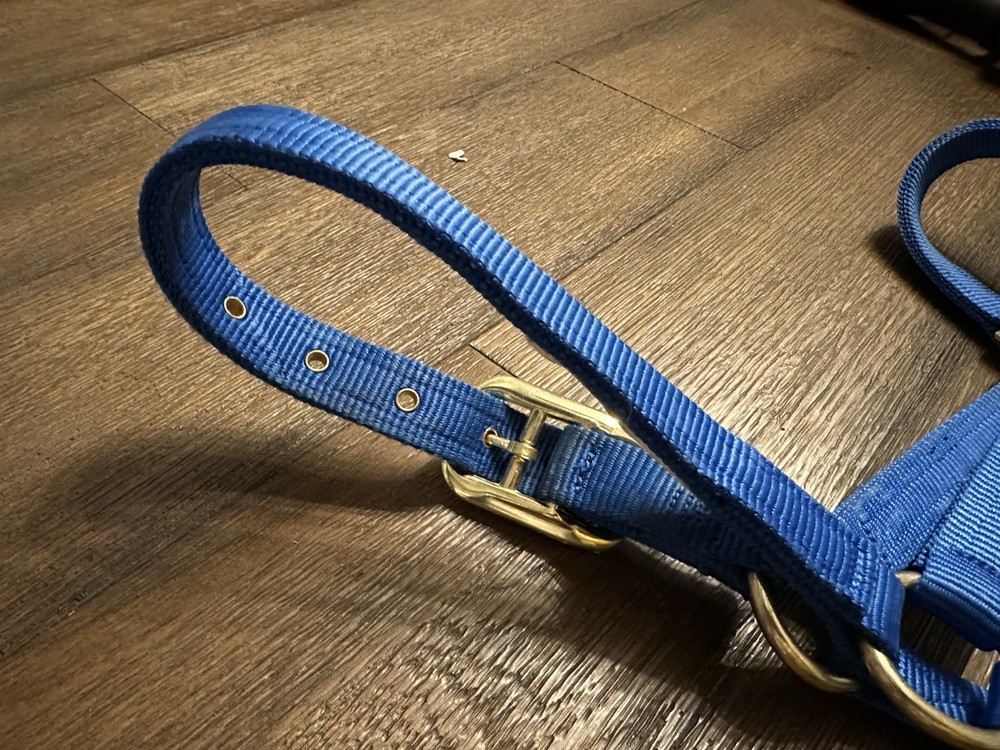 Horse Tack - Valhoma Blue Nylon Halter
