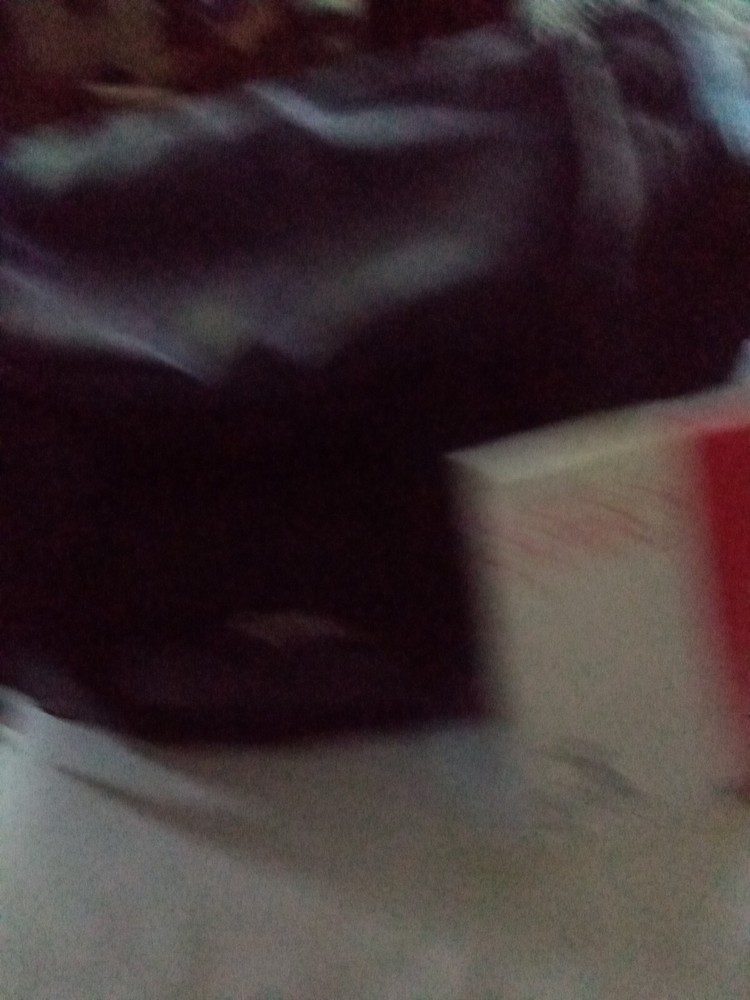 RCA ProV 700c Camera, Charger, Manual, Camera Bag. Needs Battery.