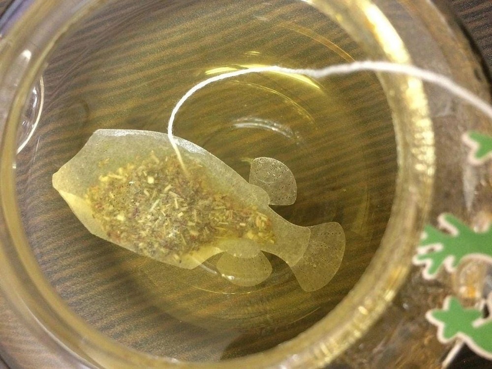 Boxfish Green Rooibos Tea Bag - Ocean Teabag