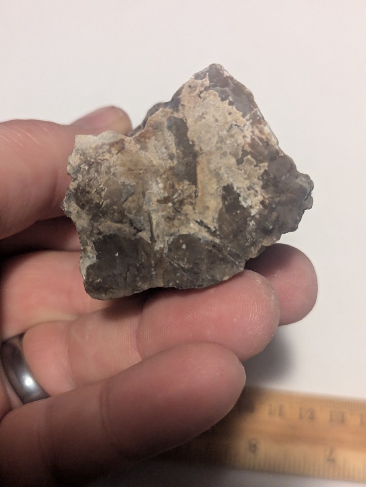 Funky Petrified Wood Natural Stone