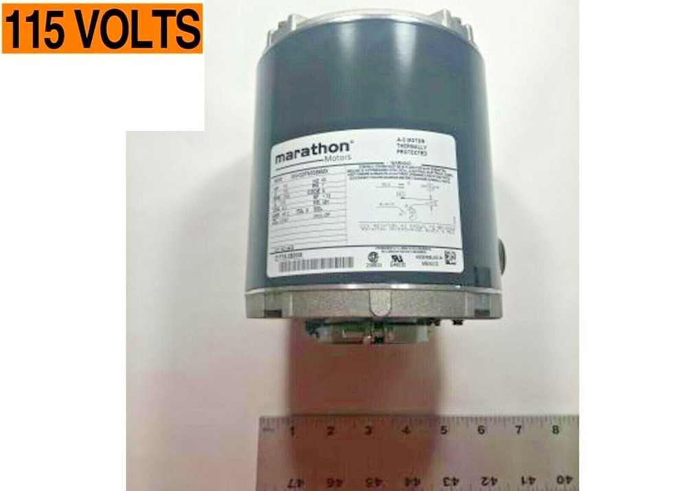 Plexus Corp Carb Motor Free Style For Model