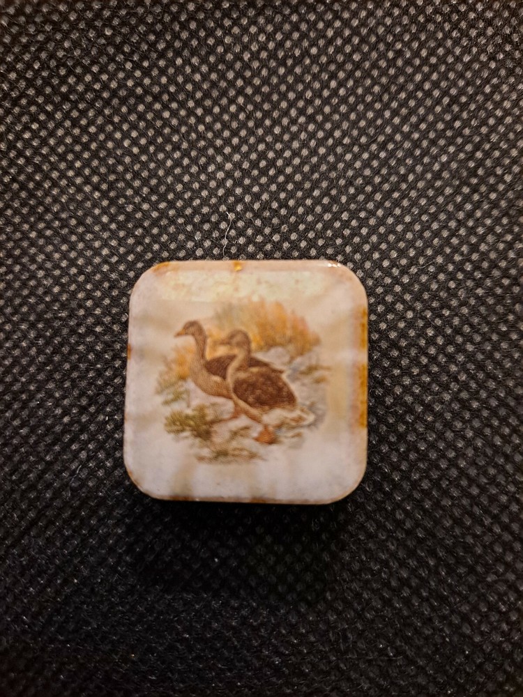 TWO DUCKS MAGNET! e3805XTT