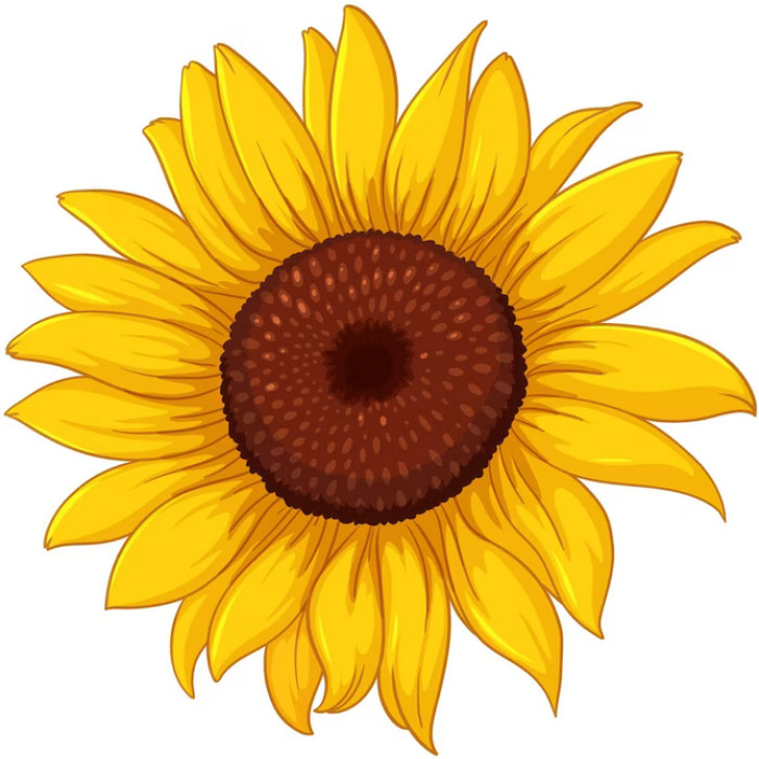 30 Custom Nice Sun Flower Personalized Address Labels