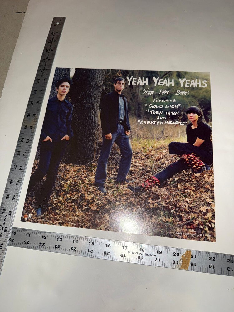 Yeah Yeah Yeahs 2006 original 2 sided PROMO flat