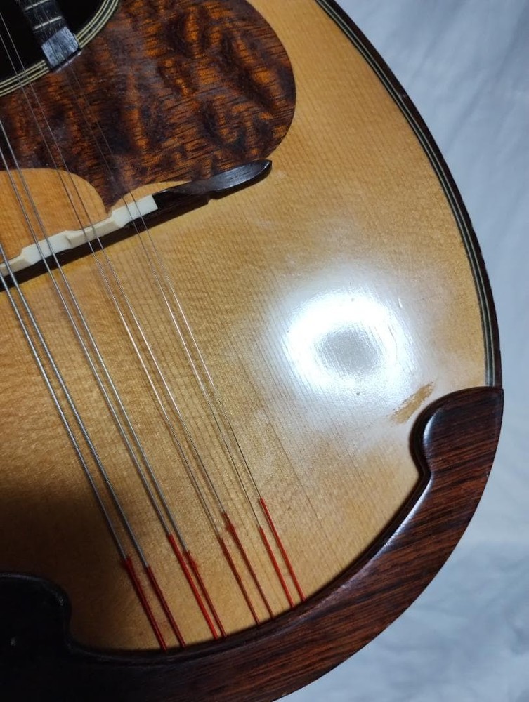 Suzuki Mandolin M-30