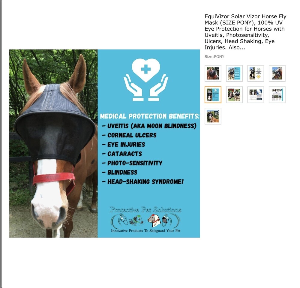 horse care grooming