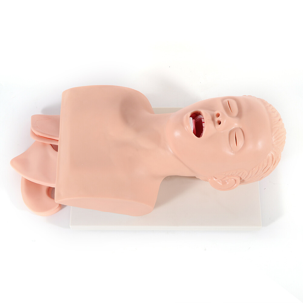 Intubation Manikin Study Teaching Simulator Airway Management Trainer Model