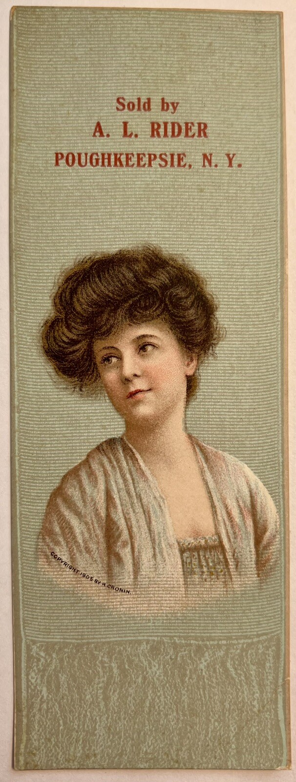 Bookmark Haines Bros Pianos Rochester NY Poughkeepsie AL Rider Bookmark 1880 art