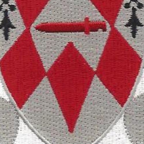 1249th Engineering Battalion Patch