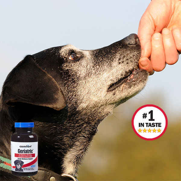 Geriatric Senior Wellness Support Chewable Tablets for Dogs