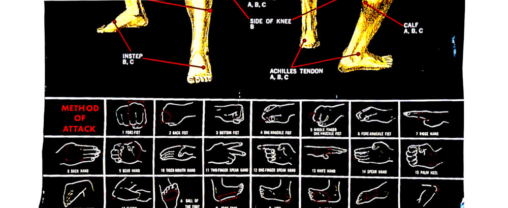 Karate Striking Points Poster 30"x21"