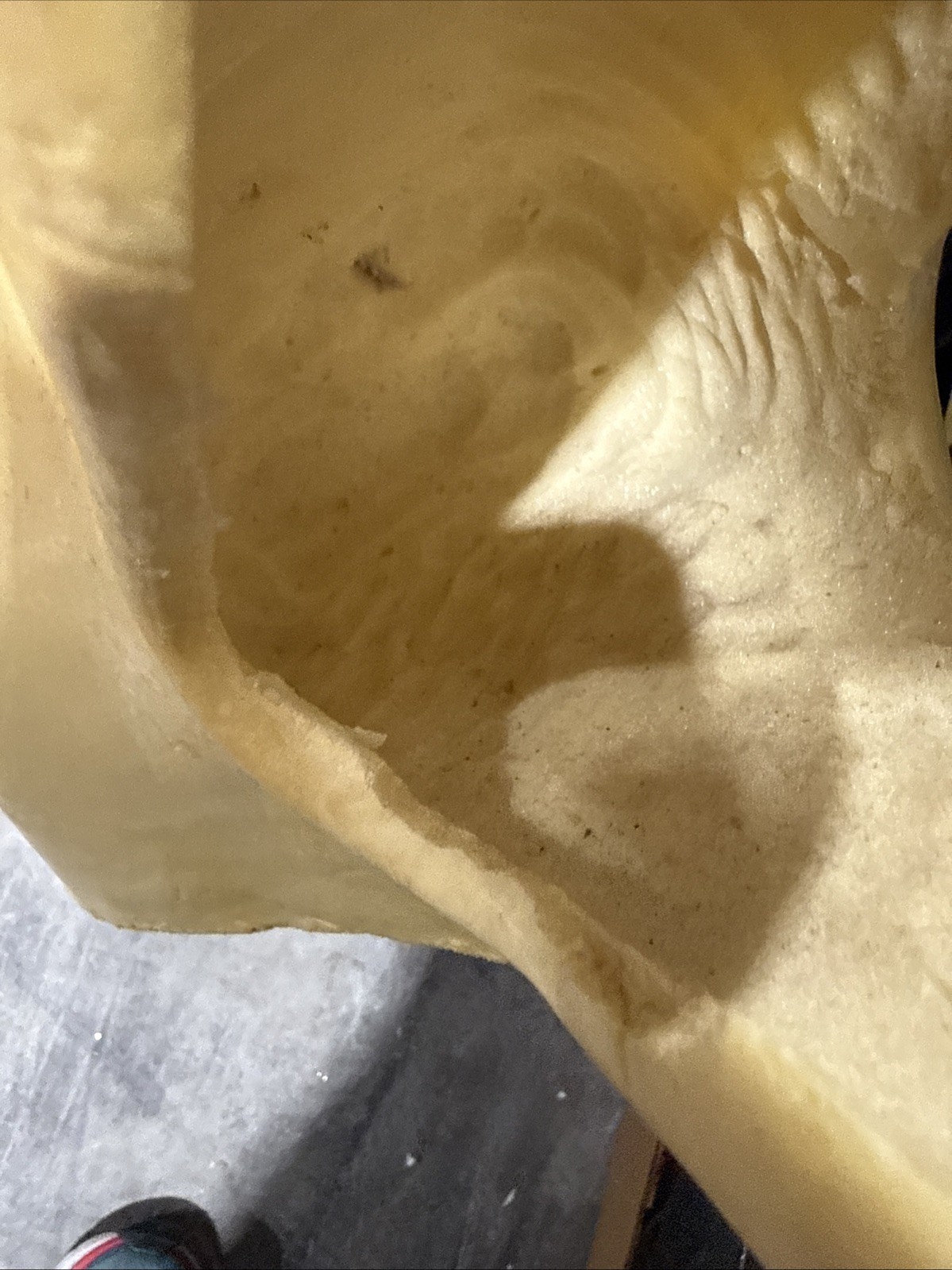 Van Dyke Large Bear Rug Shell Form Open Mouth 1992