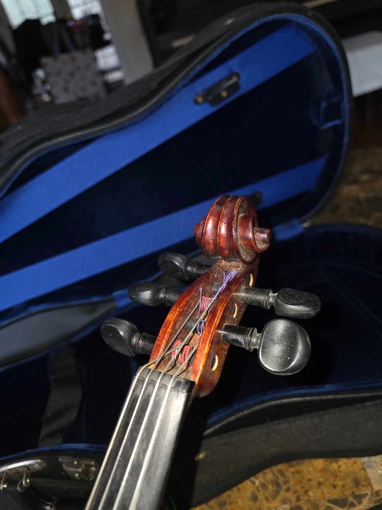 Aceto ISI 5 string acoustic electric violin